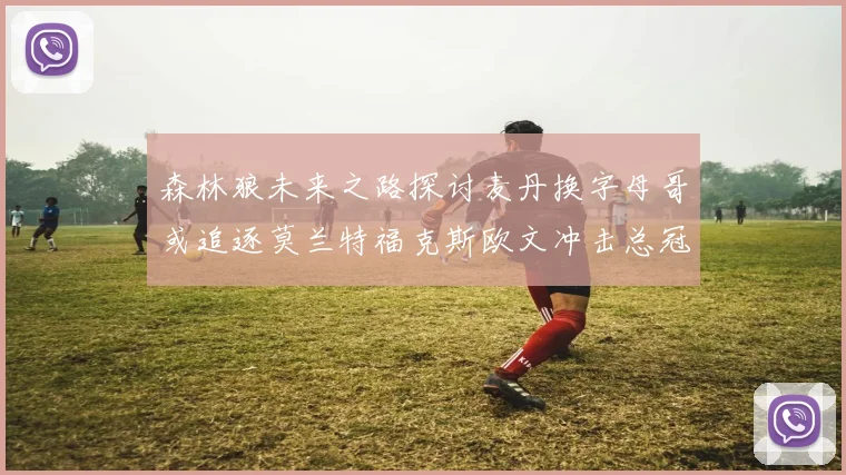 森林狼未来之路探讨麦丹换字母哥或追逐莫兰特福克斯欧文冲击总冠军