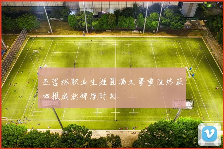 王哲林职业生涯圆满久事重注终获回报成就辉煌时刻